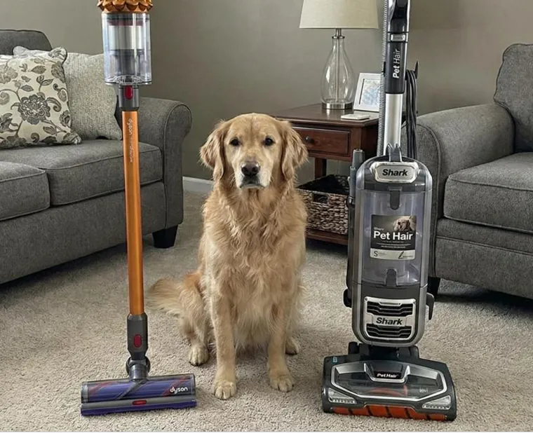 Két prémium, állatszőrre hirdetett porszívó egy nappaliban, mellettük golden retriever